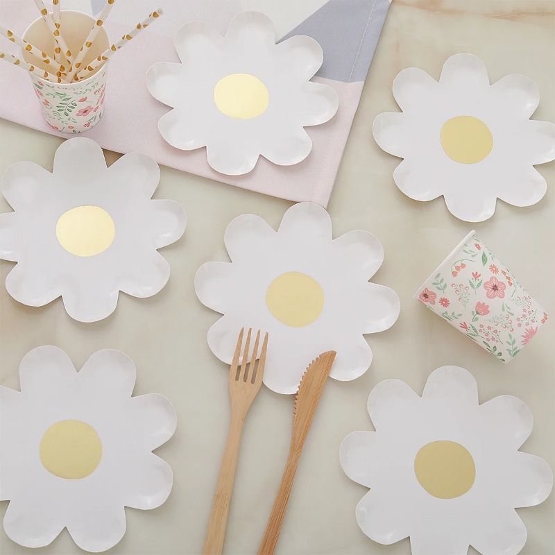 Decorazioni per feste di compl - Camping Cooking Disc recensione e prezzo