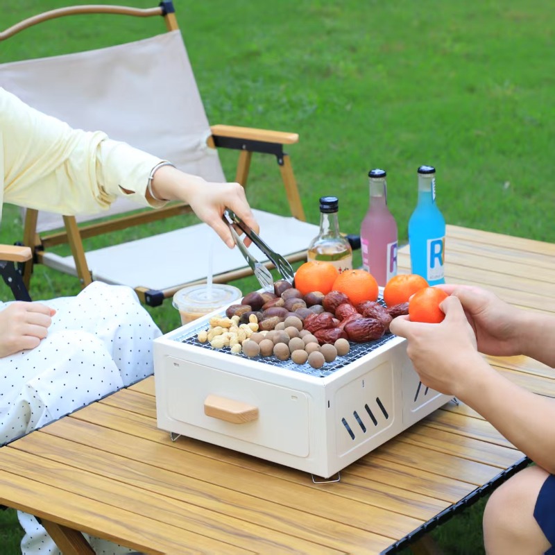 Griglia portatile a carbone pe - Camping Cooking Area recensione e prezzo