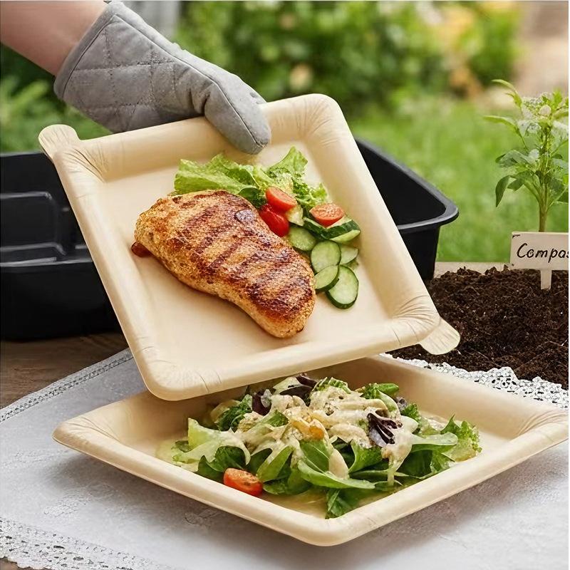 20 Piatti di Carta Usa e Getta - Camping Cooking Disc recensione e prezzo